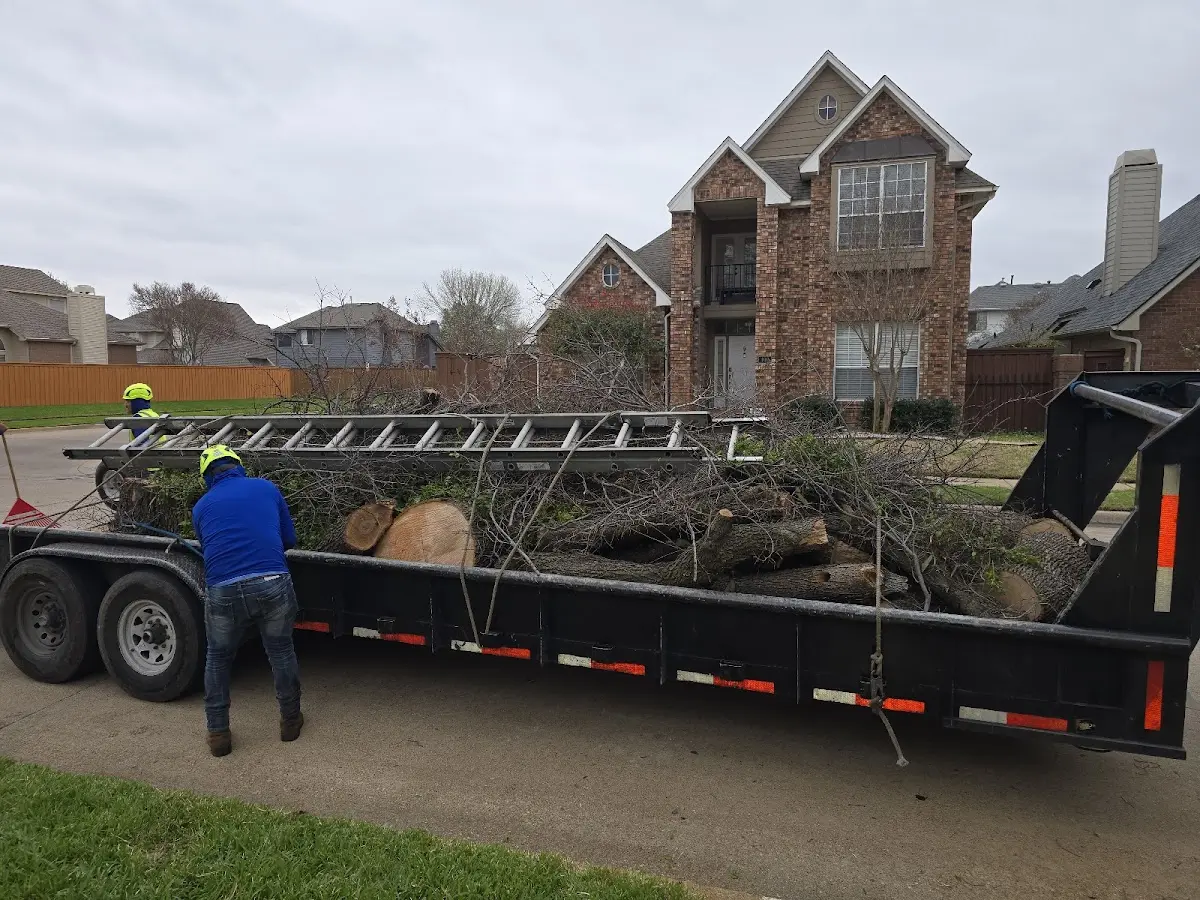 Expert Tree Fertilization with proper safety equipment in Weesatche